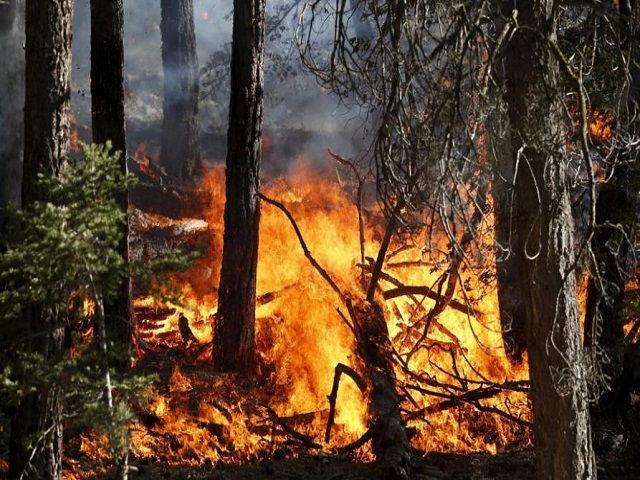 Stato di massima pericolosità per incendi boschivi dal 21 LUGLIO 2022